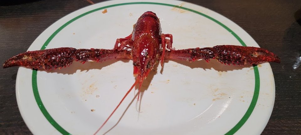 Crayfish